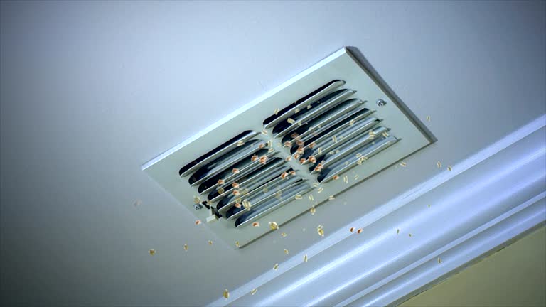 Best HVAC Air Duct Cleaning  in Three Points, AZ