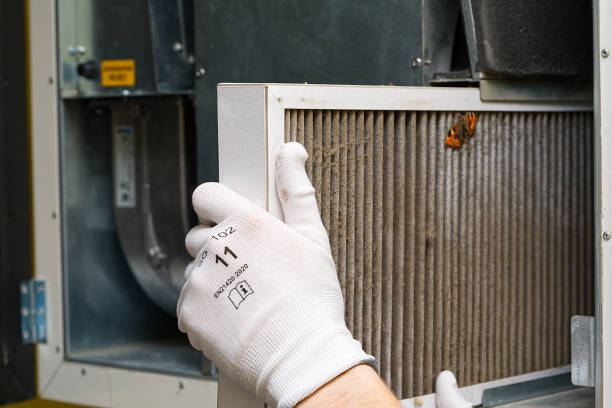 Best Residential Air Duct Cleaning  in Three Points, AZ