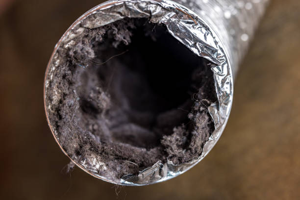 Best Professional Duct Cleaning Services  in Three Points, AZ